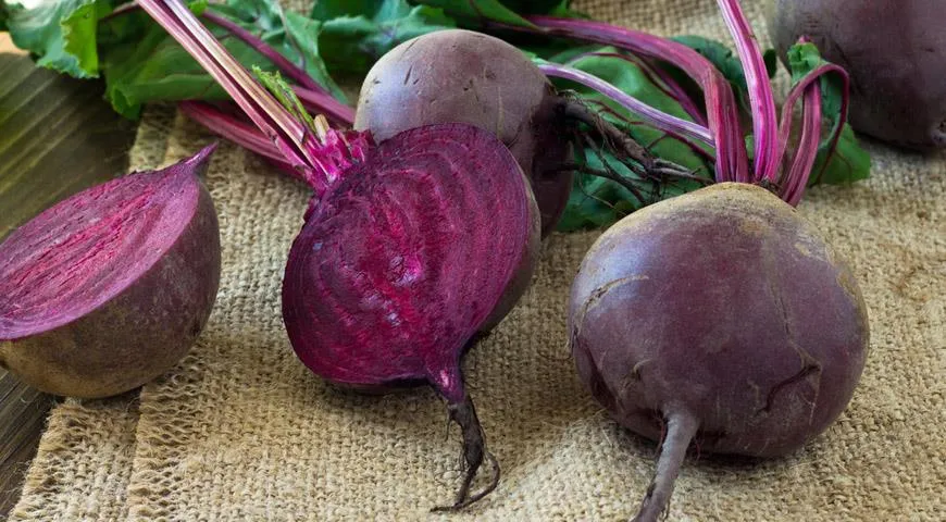Rote Beete bei Gicht Rote Beete bei Gicht