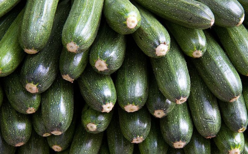 Zucchini bei Gicht Zucchini bei Gicht