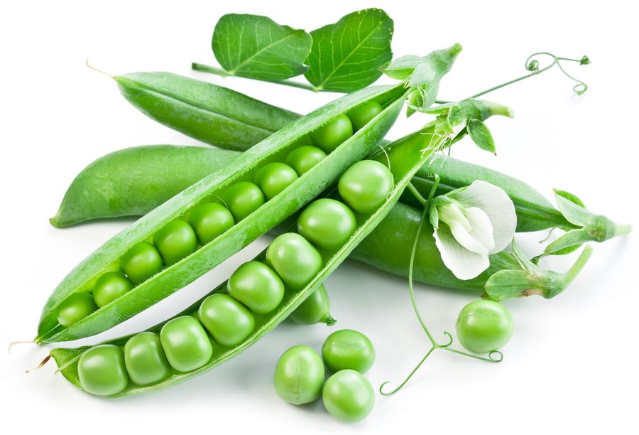 Erbsen bei Gicht (Erbsenprotein, Erbsensuppe): kann man sie essen Erbsen bei Gicht (Erbsenprotein, Erbsensuppe): kann man sie essen