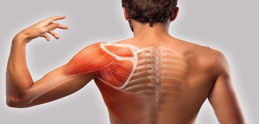 Gicht in der Schulter: Symptome und Behandlung Gicht in der Schulter: Symptome und Behandlung