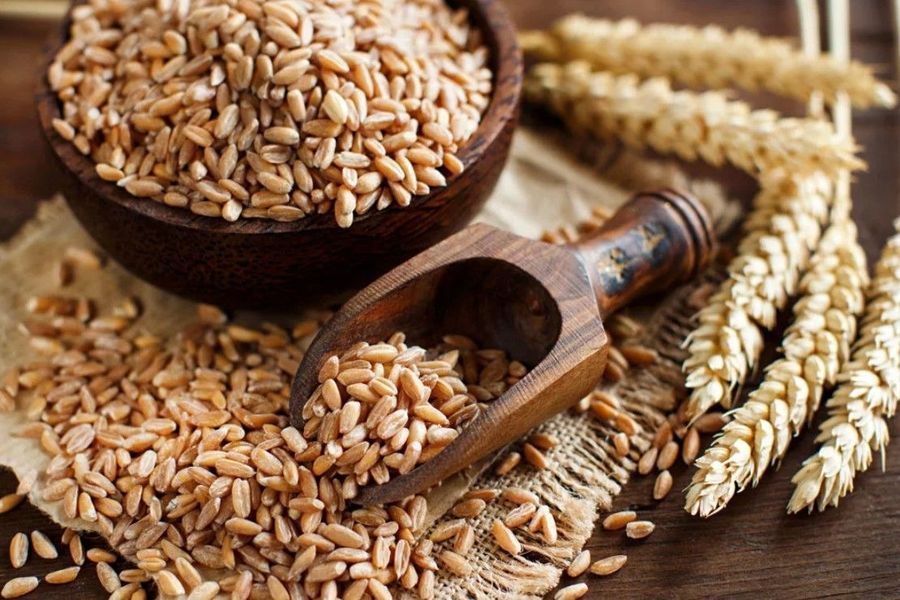 Dinkelmehl und Dinkelbrot bei Gicht Dinkelmehl und Dinkelbrot bei Gicht
