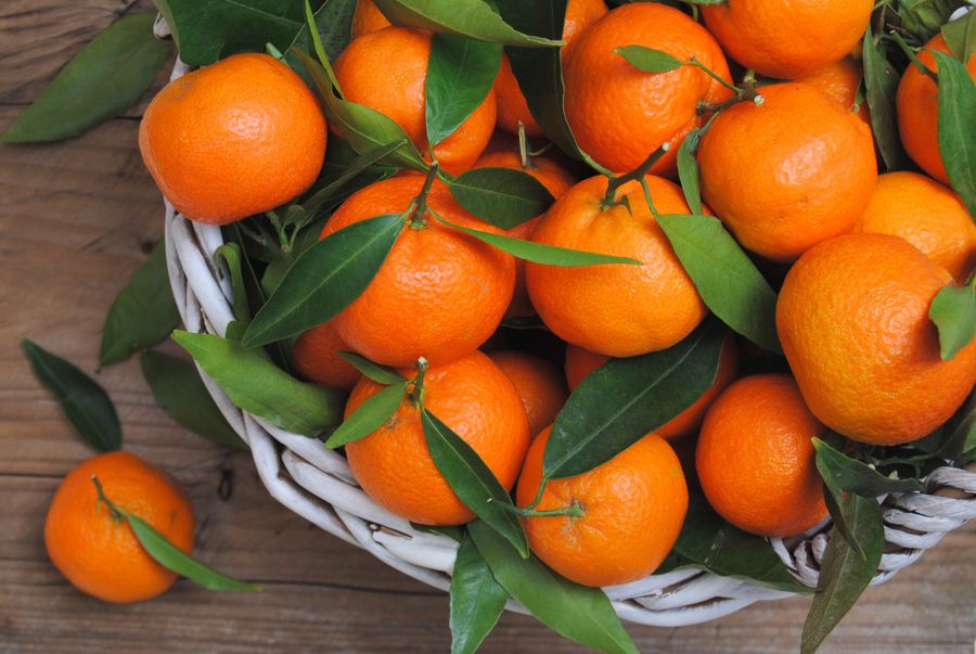 Mandarinen bei Gicht Mandarinen bei Gicht
