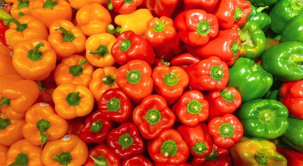 Kann man Paprika bei Gicht essen Kann man Paprika bei Gicht essen